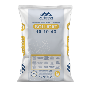 Solucat 10-10-40